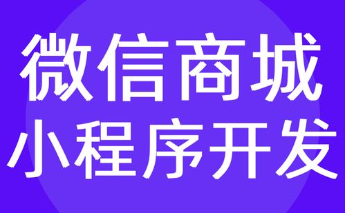 商城小程序开发 微信小程序商城定制开发 红匣子科技